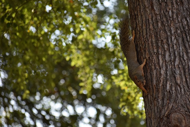 还有8个直通名额，美加墨世界杯已经确认34个席位